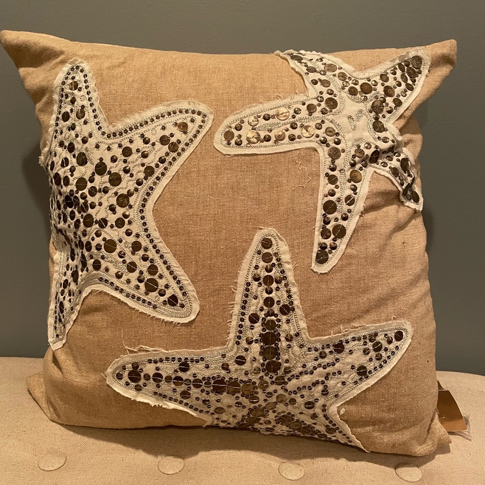 EUC pottery barn accent pillow